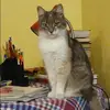 Отзыв от Яна Евдокимова
